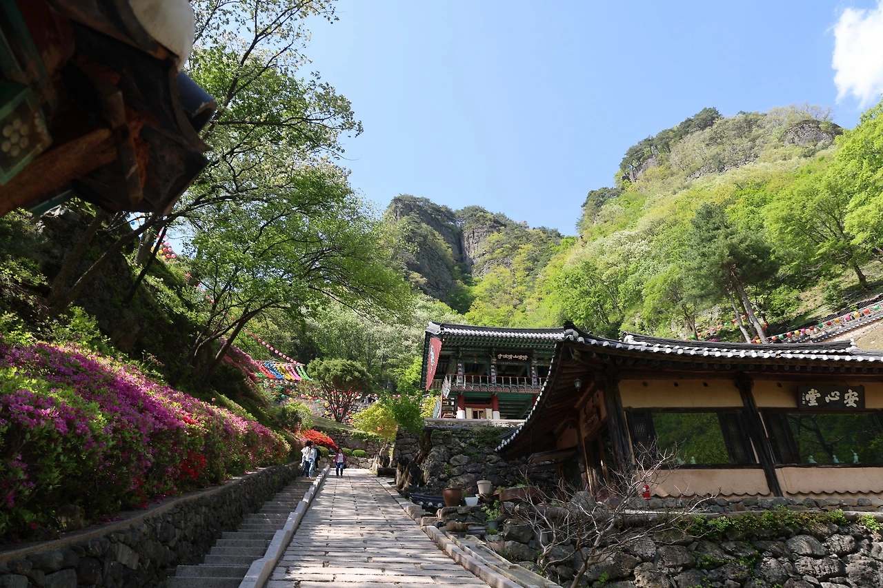 0R5A9613_новый размер.JPG