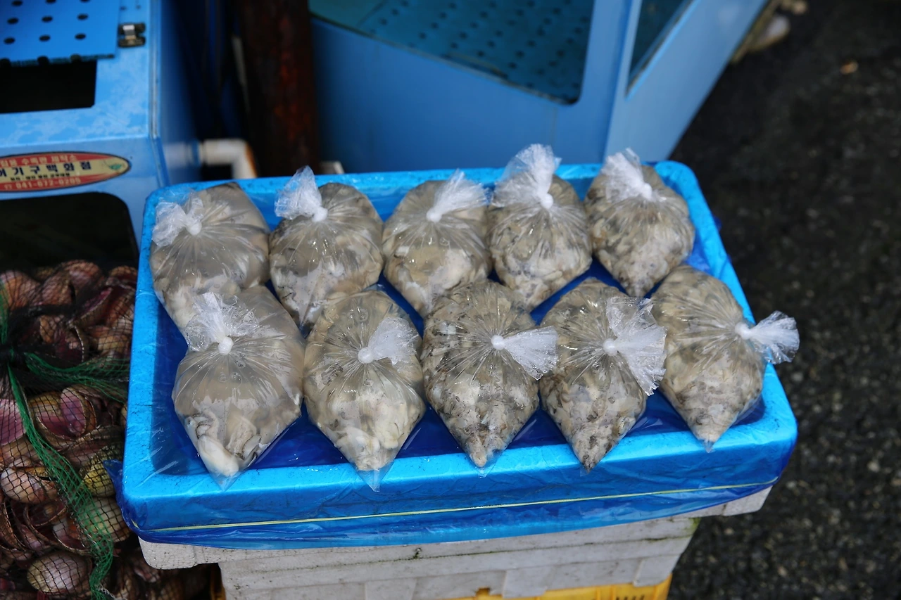 MG0A0880_новый размер.JPG