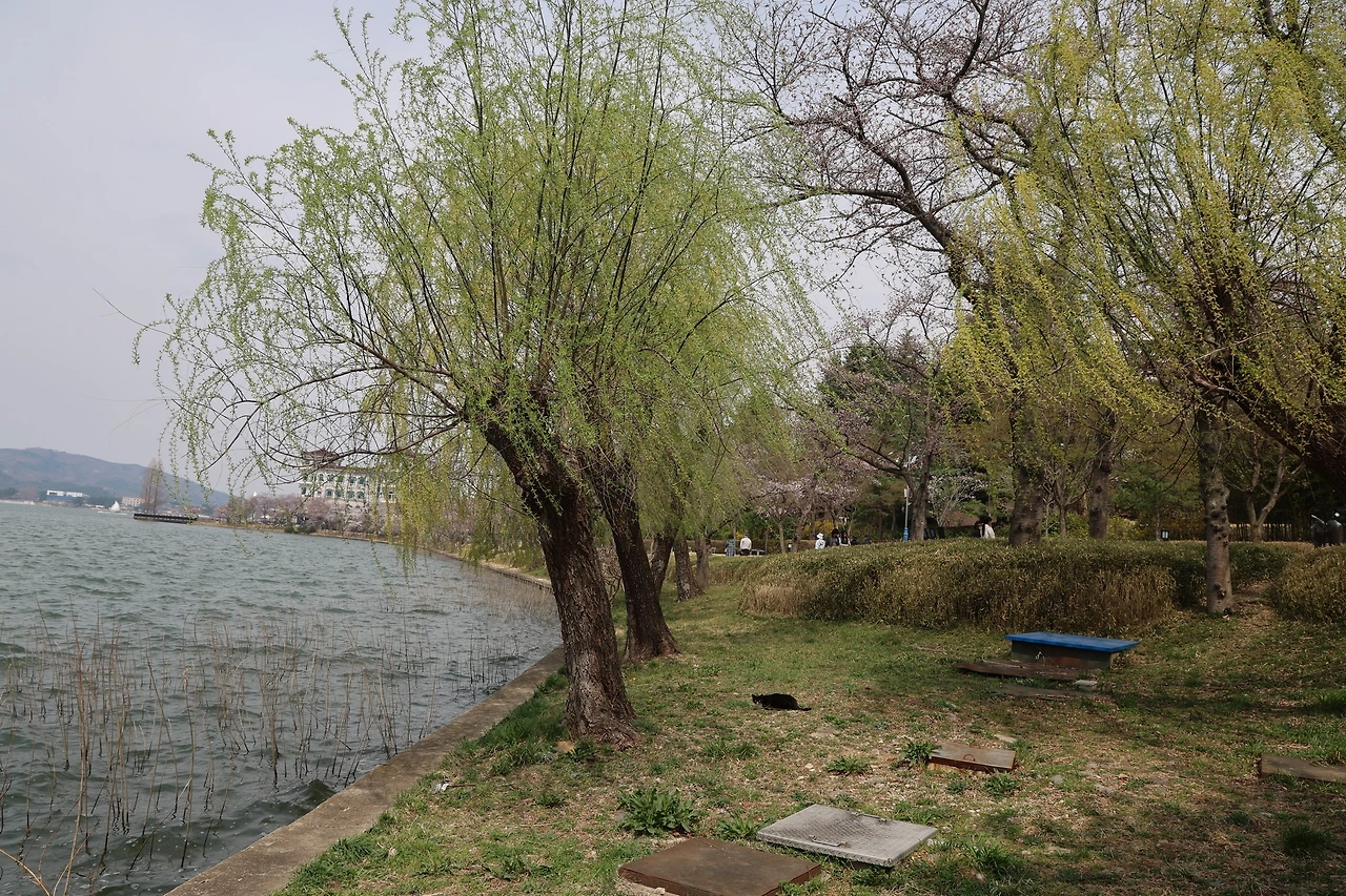 0R5A4617_новый размер.JPG