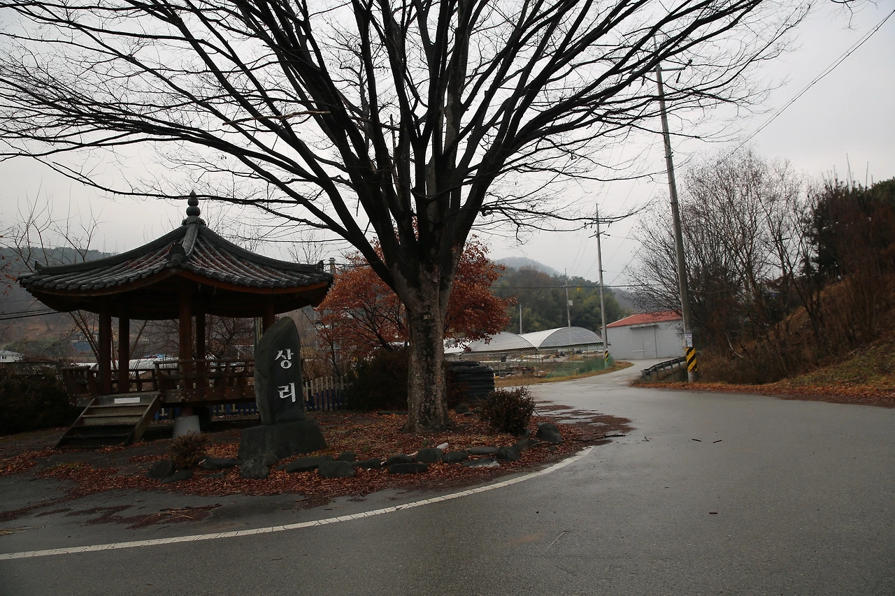 MG0A5945_новый размер.JPG