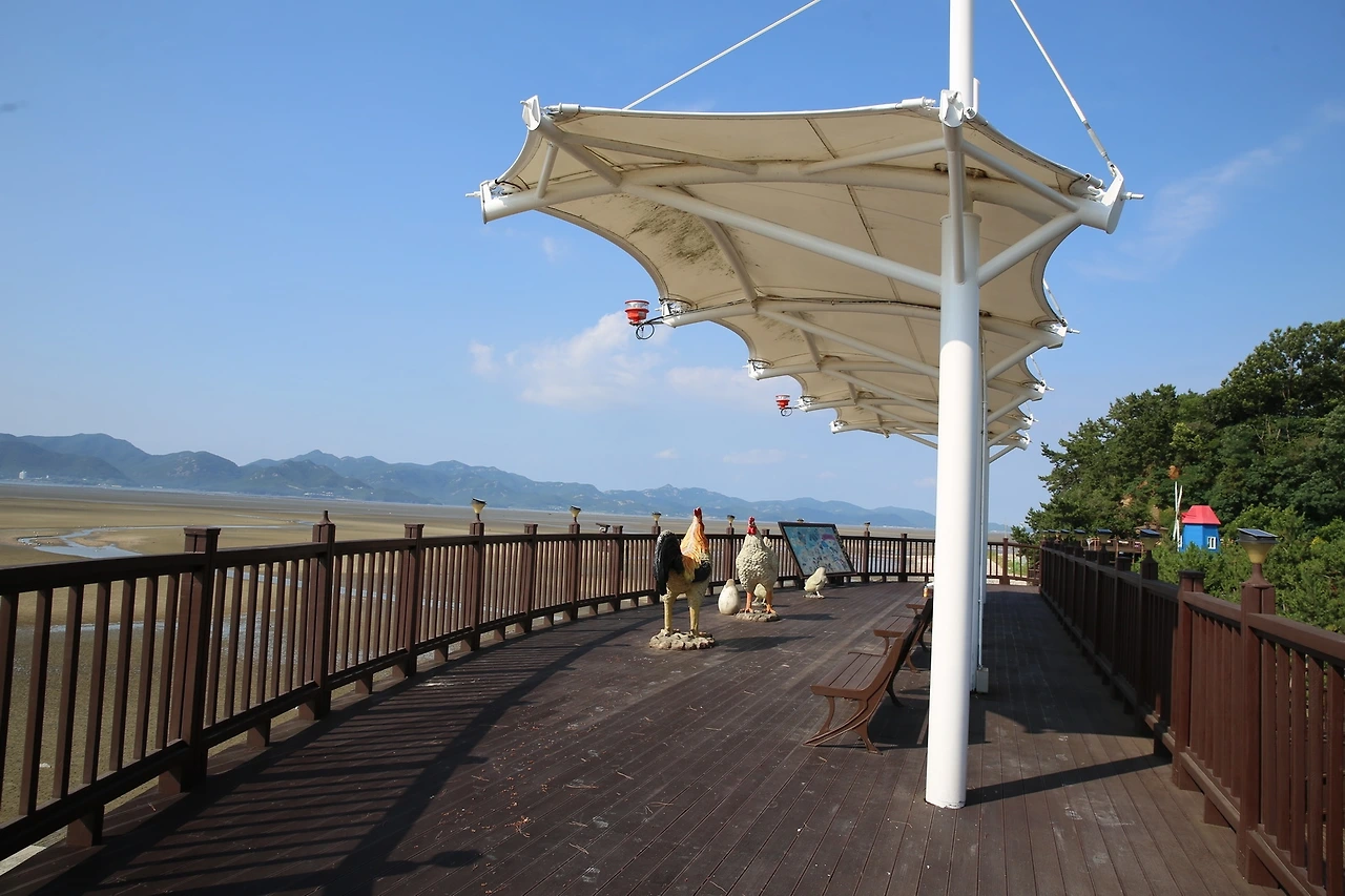 MG0A4625_новый размер.JPG