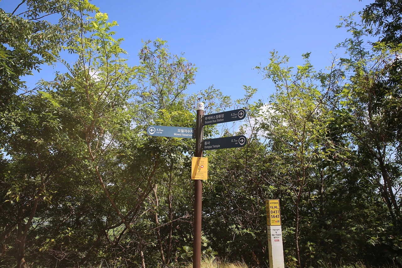 MG0A9244_новый размер.JPG