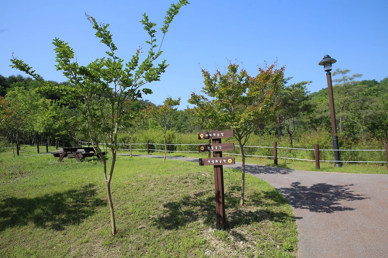 MG0A0052_новый размер.JPG