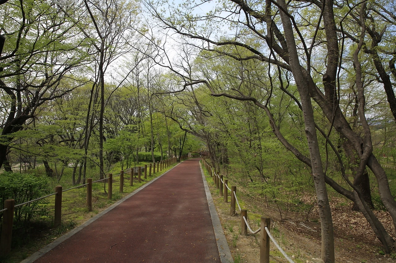 MG0A9143_новый размер.JPG