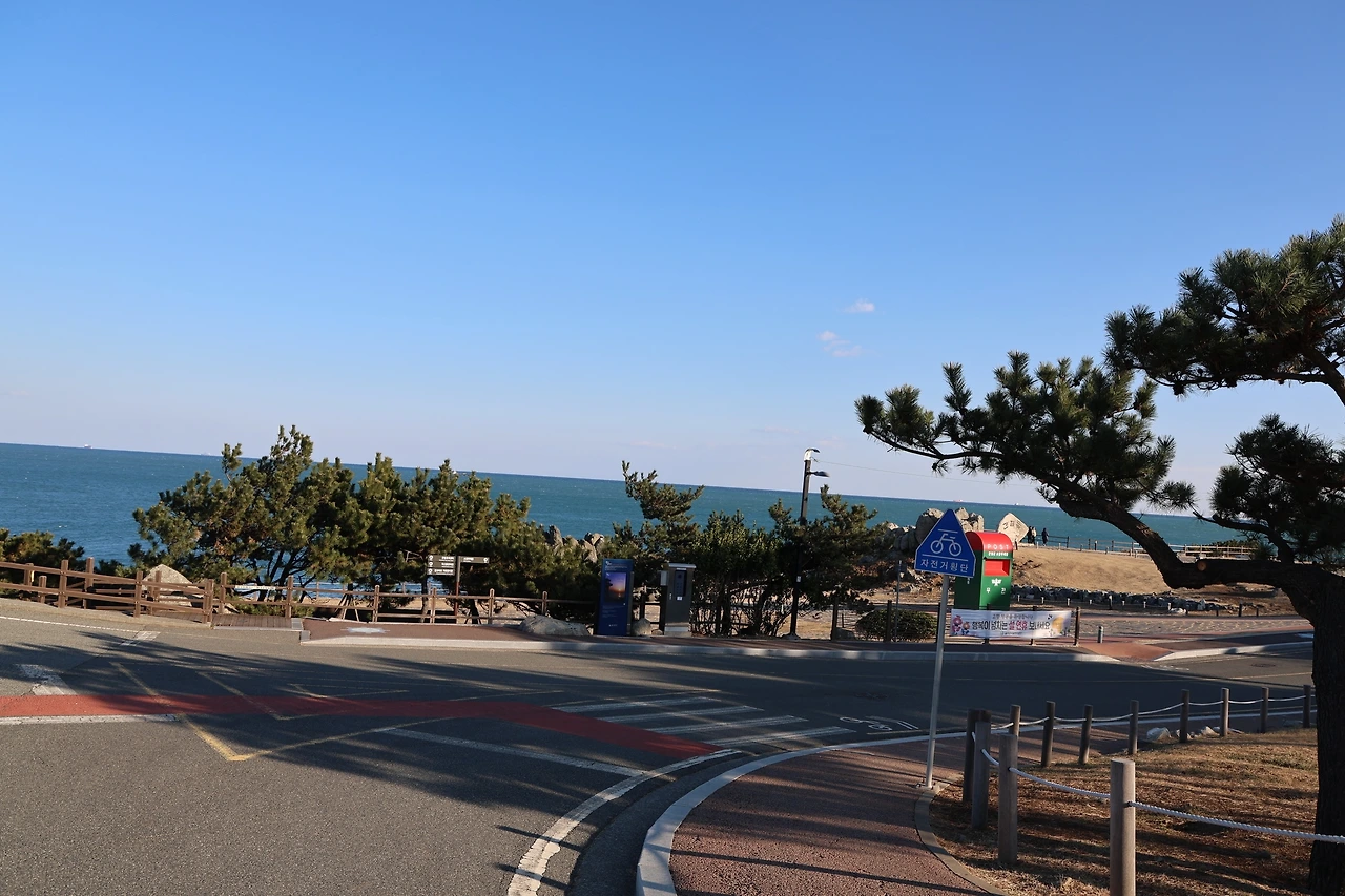 0R5A7942_новый размер.JPG