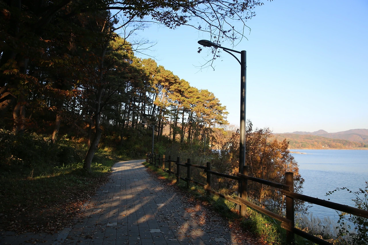 MG0A1377_новый размер.JPG