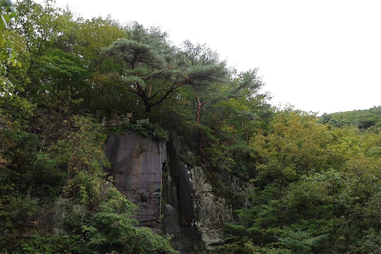 0R5A9782_новый размер.JPG