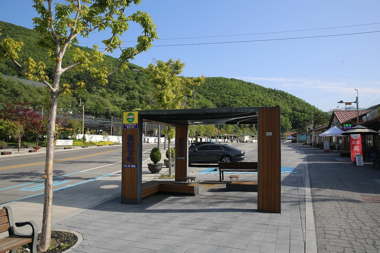 MG0A0041_новый размер.JPG