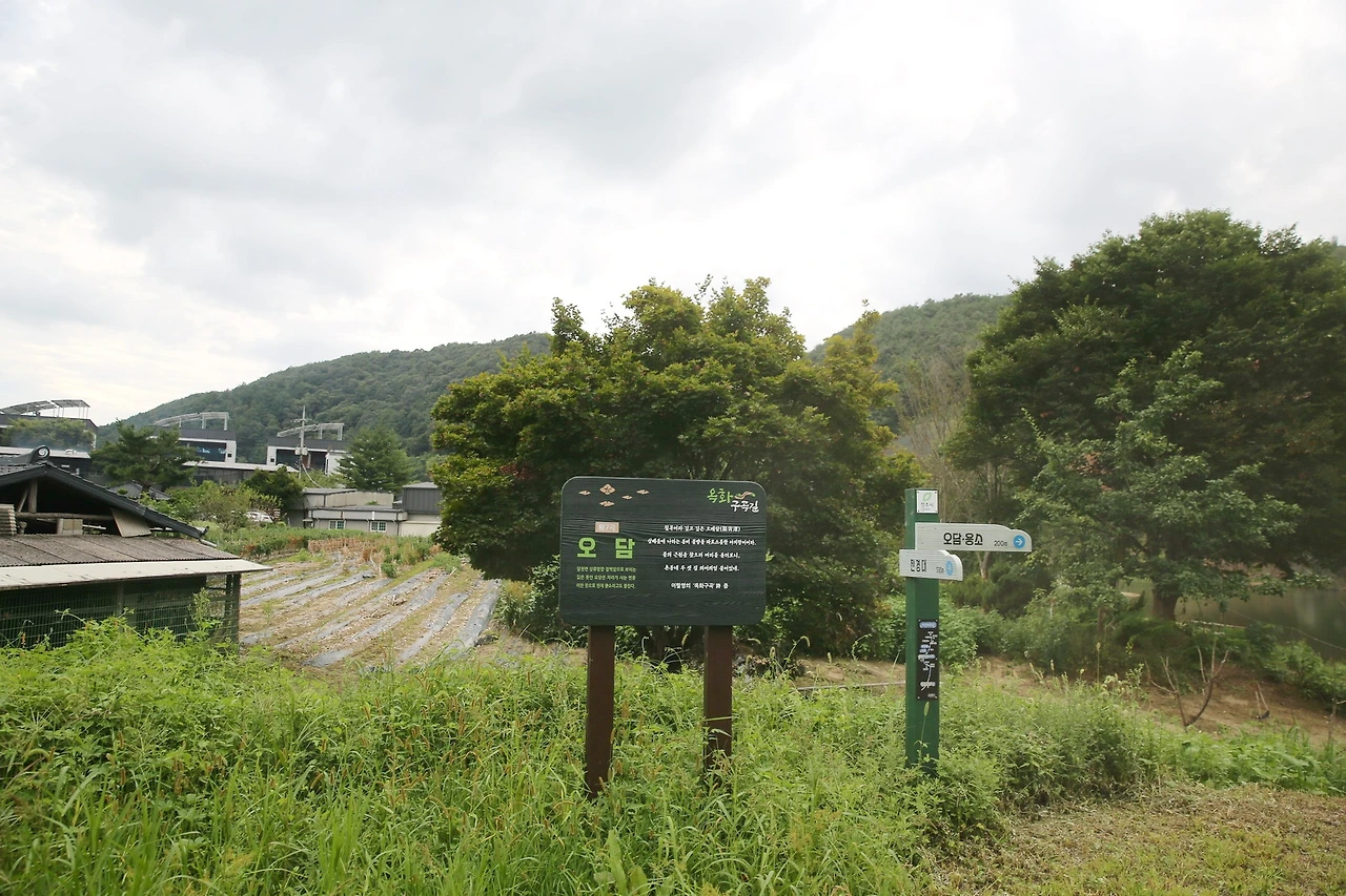 MG0A0579_новый размер_exposure.JPG