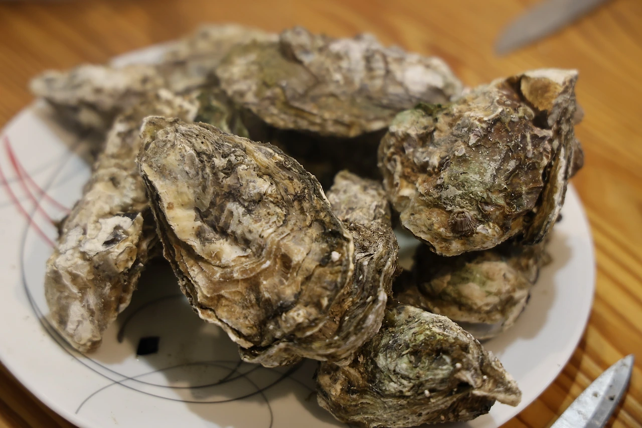 0R5A3187_новый размер.JPG