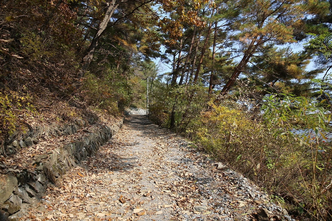 MG0A8001_новый размер.JPG