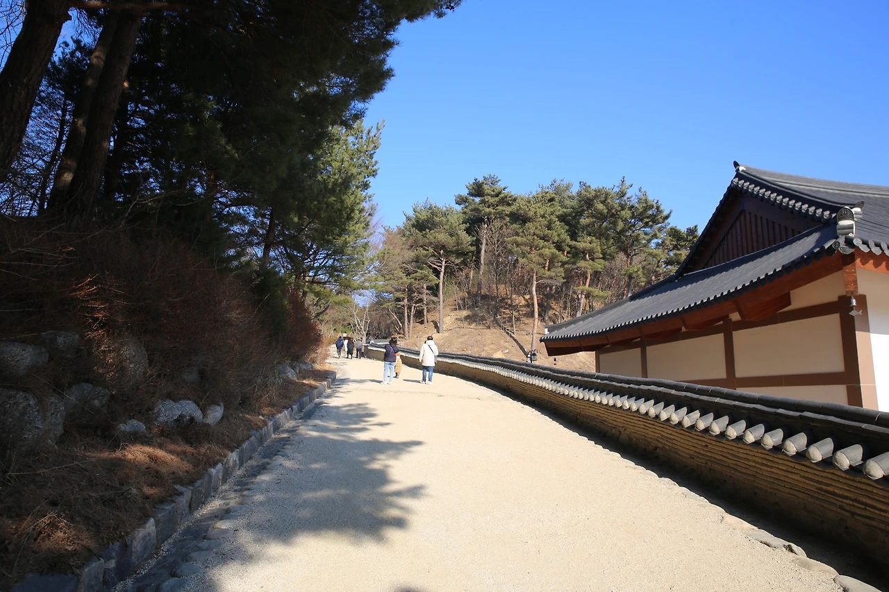 MG0A6502_новый размер.JPG