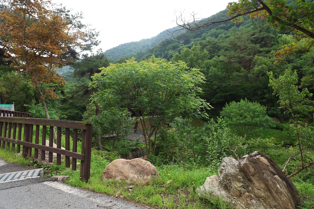 0R5A7430_новый размер.JPG