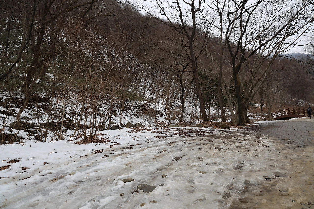 0R5A9560_новый размер.JPG