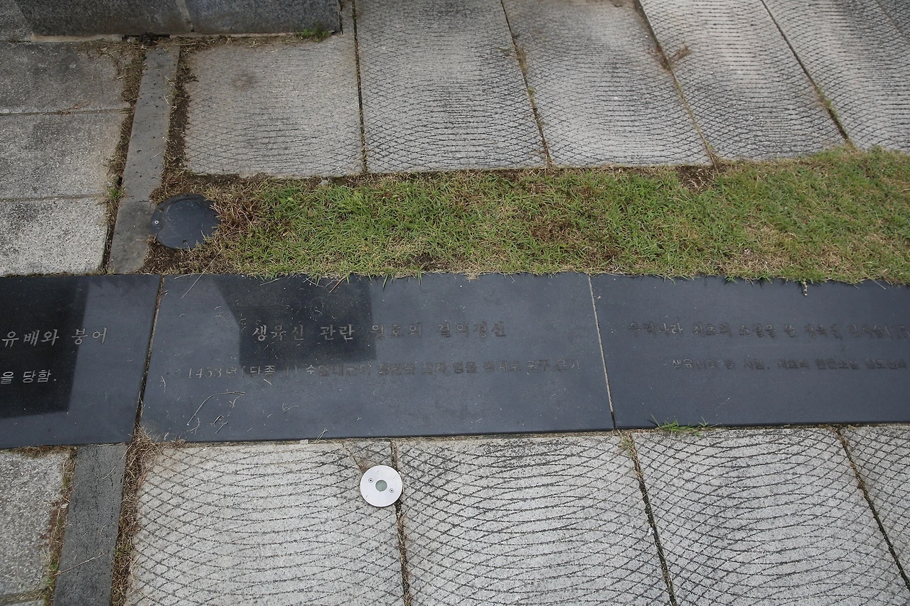 MG0A3589_новый размер.JPG