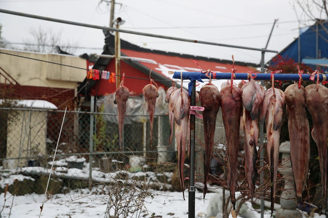 MG0A4240_новый размер.JPG