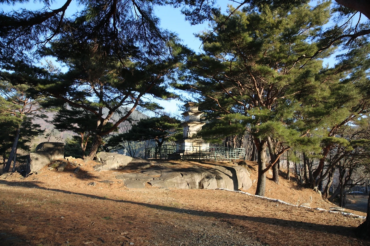 MG0A7599_новый размер.JPG