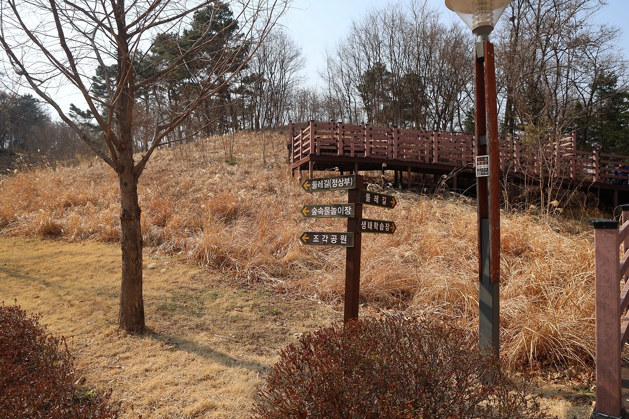 0R5A5505_новый размер.JPG