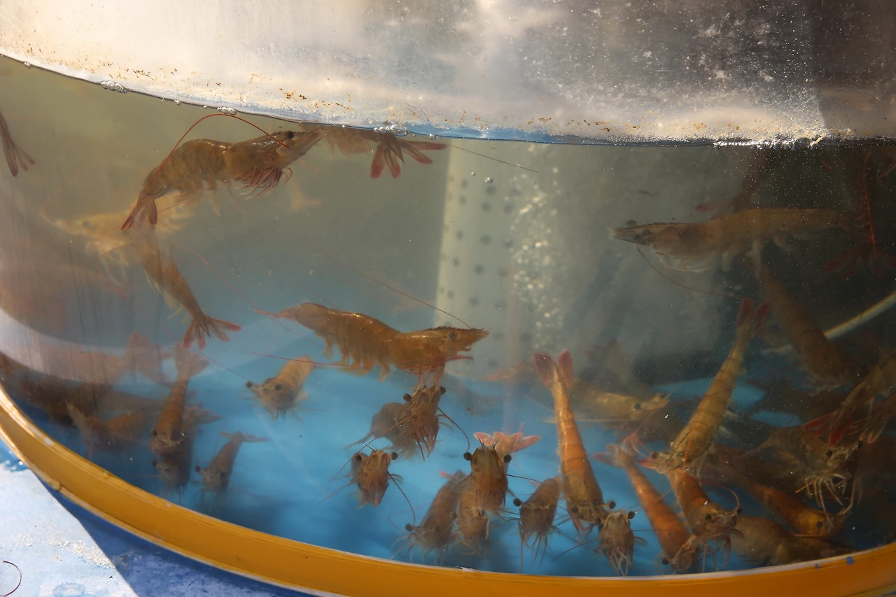 MG0A9359_новый размер.JPG