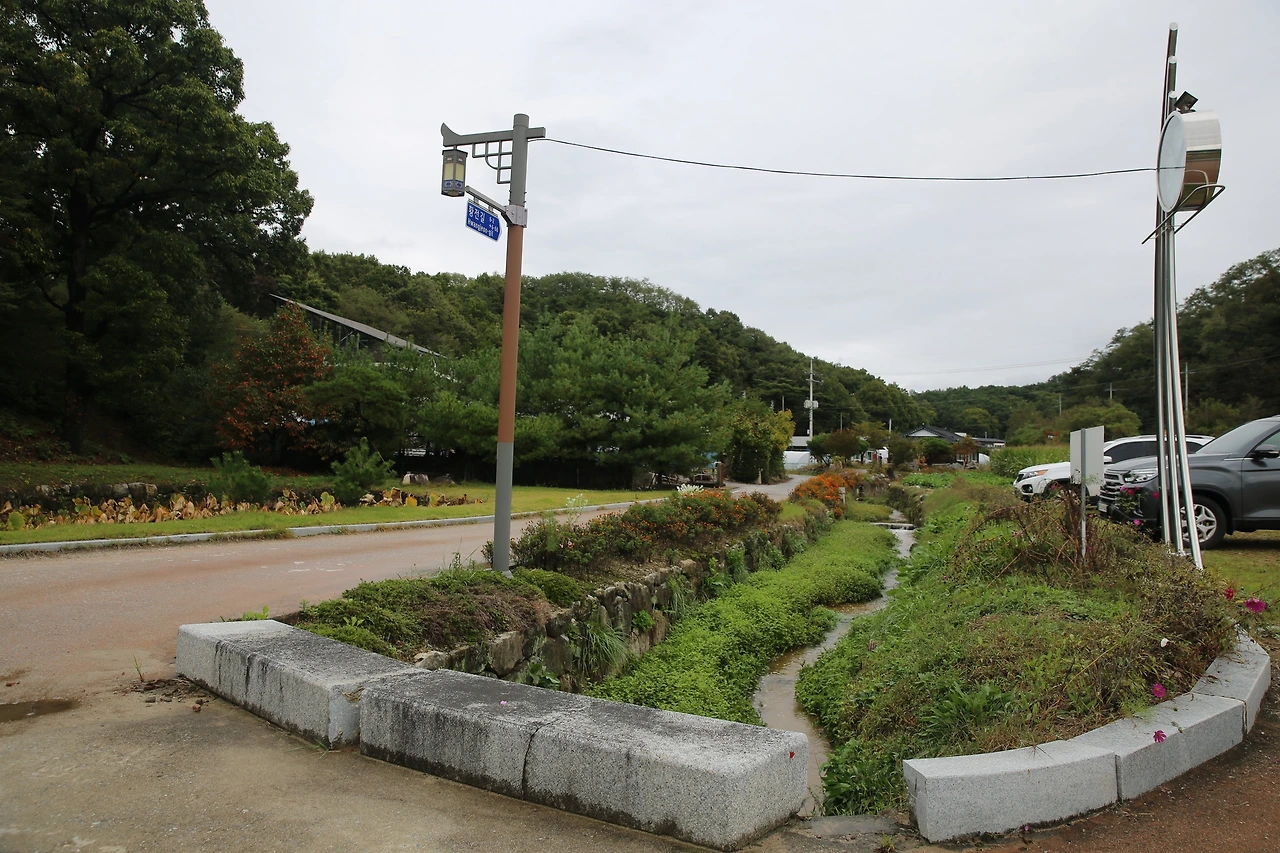 MG0A6381_новый размер.JPG