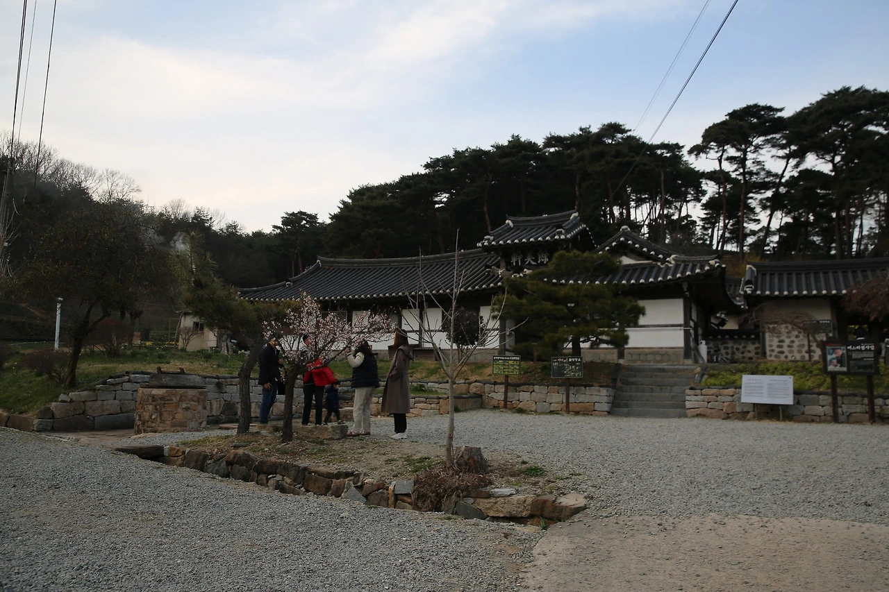 MG0A5998_новый размер.JPG