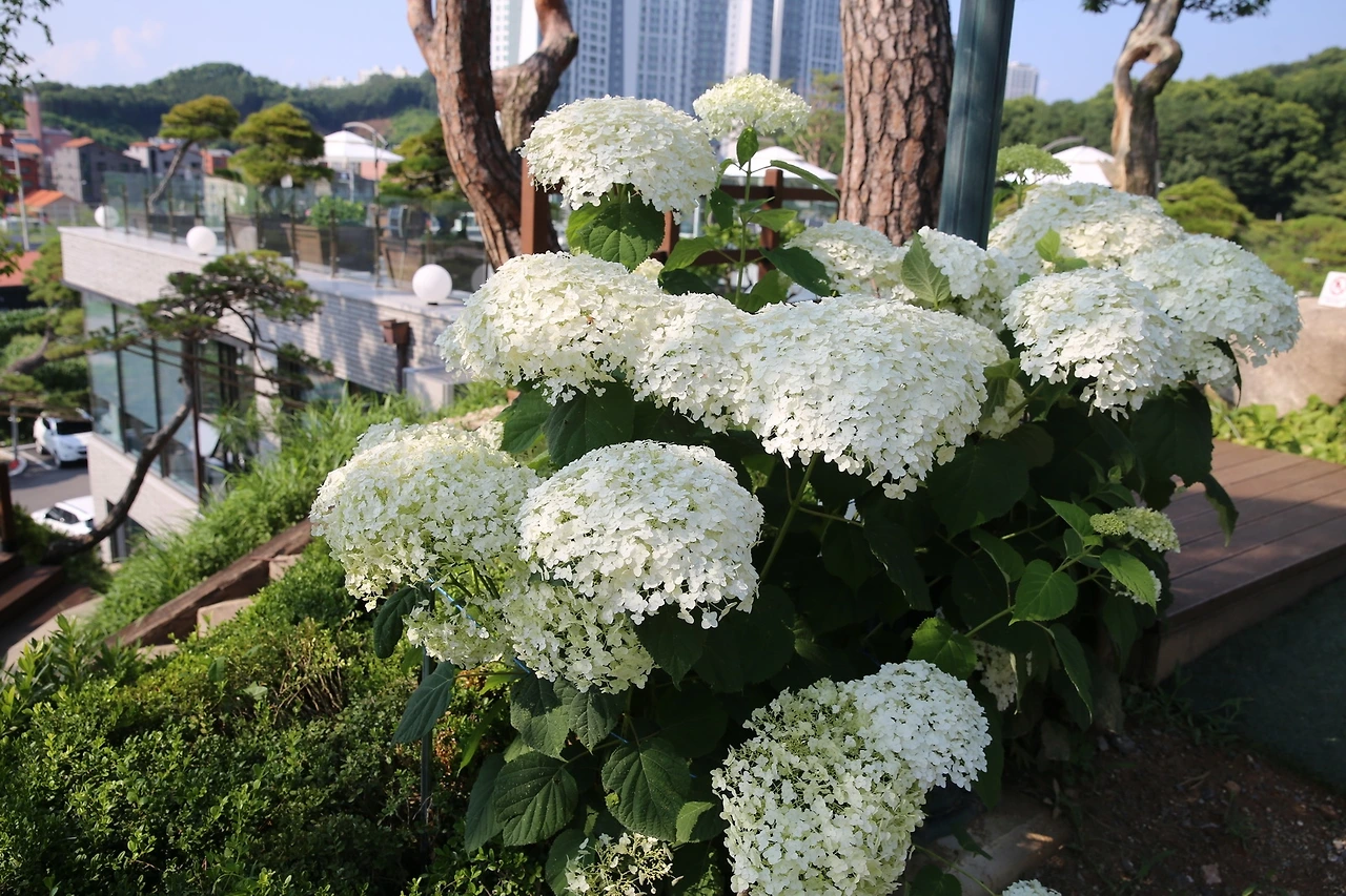 MG0A3103_новый размер.JPG