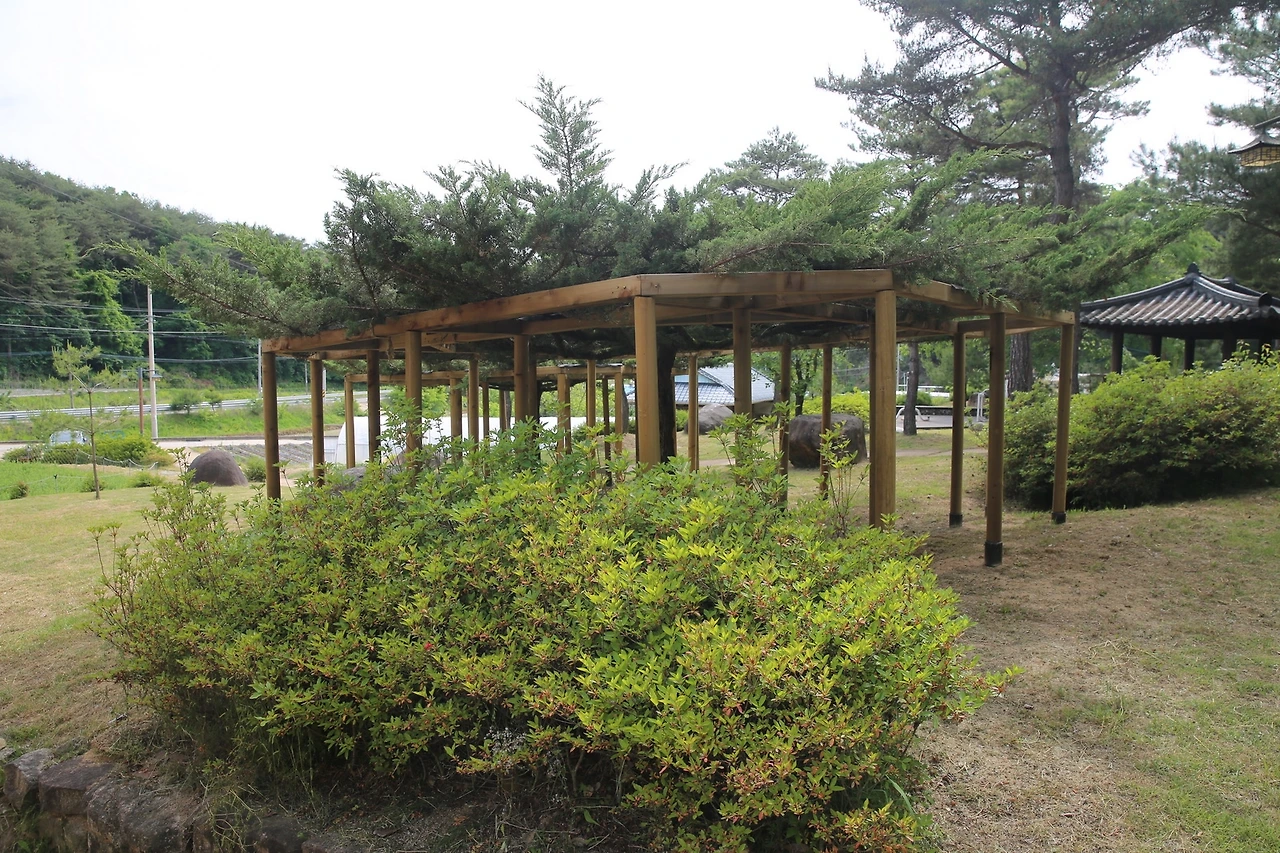 MG0A9654_новый размер.JPG