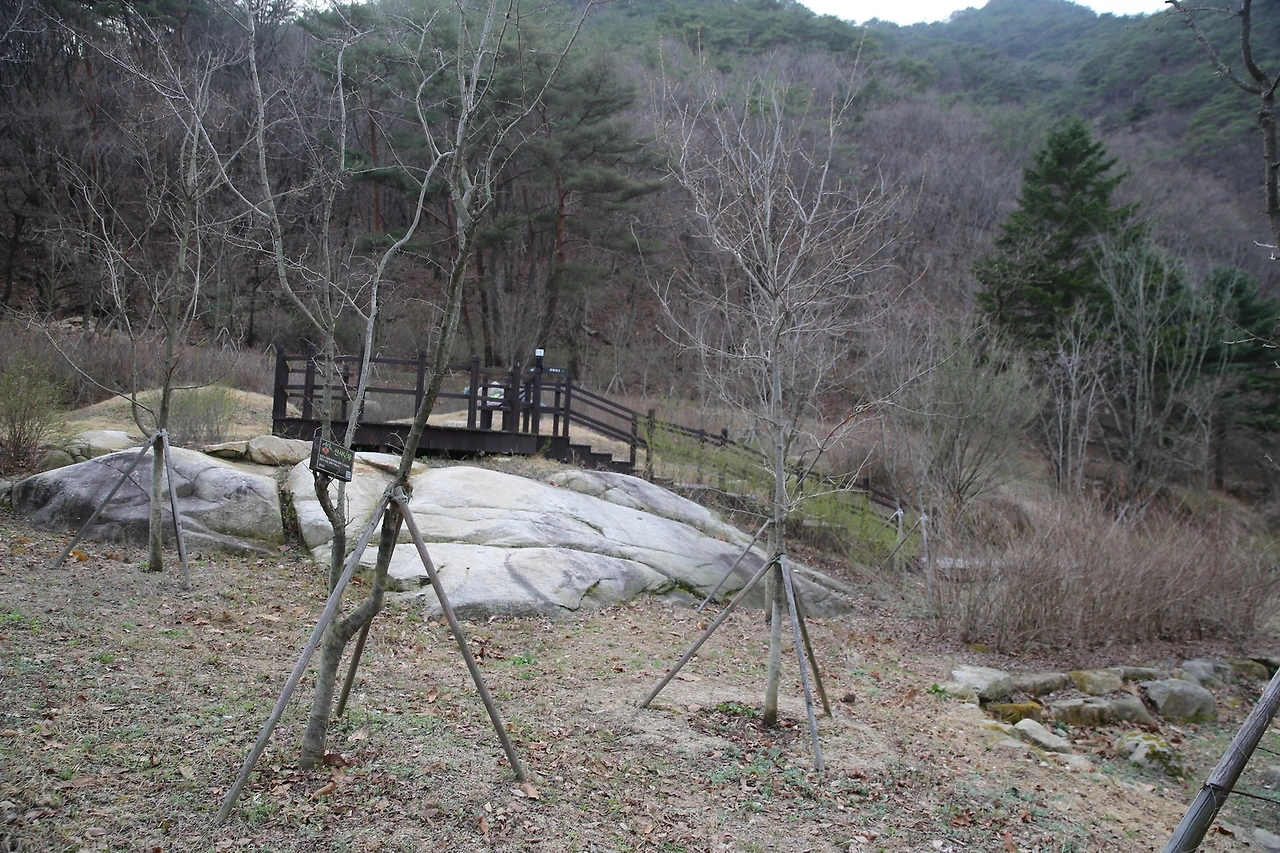 MG0A8375_новый размер.JPG