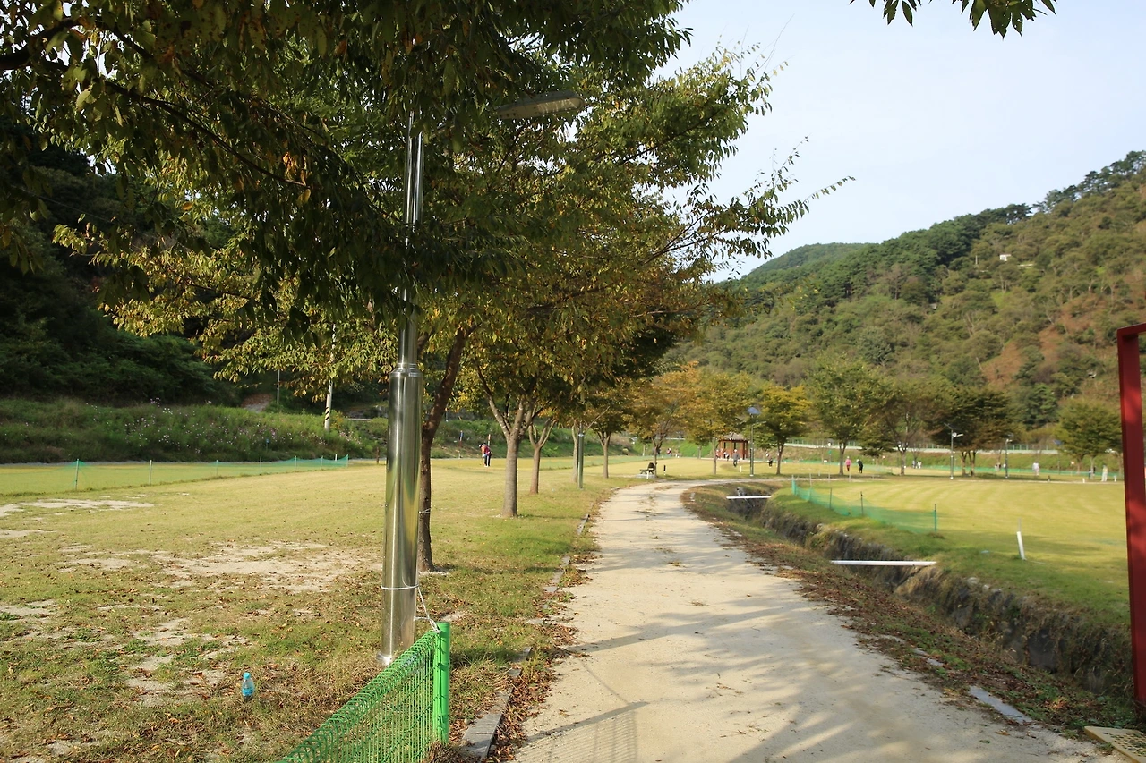 MG0A5867_новый размер.JPG