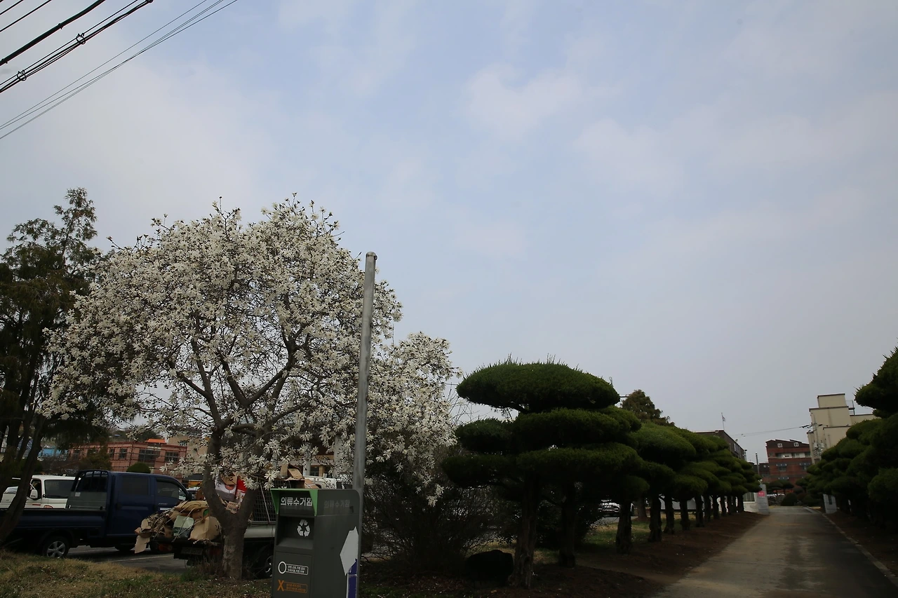 MG0A7987_новый размер.JPG