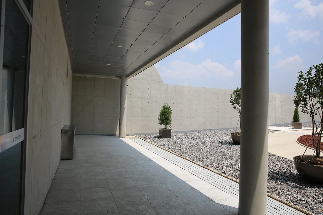 MG0A5537_новый размер.JPG