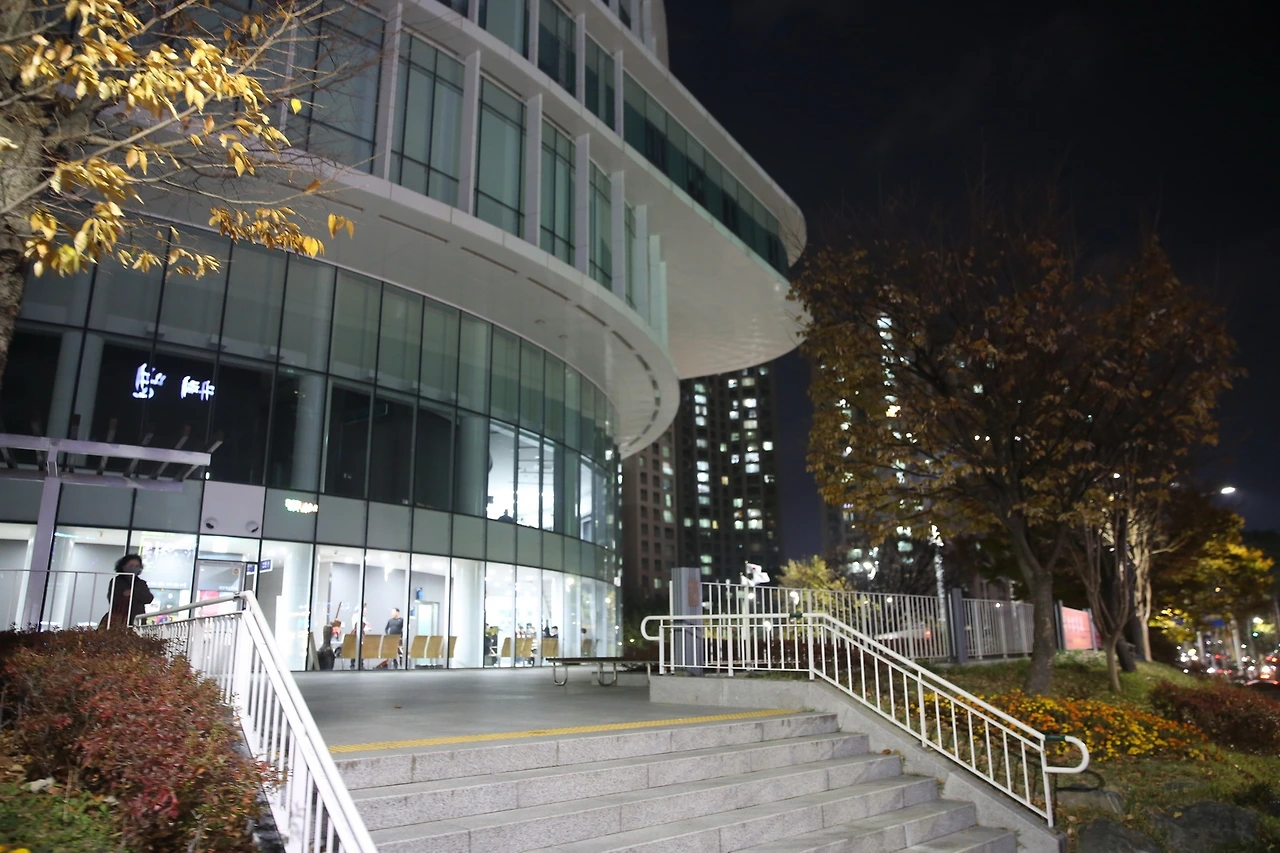 MG0A1331_новый размер.JPG