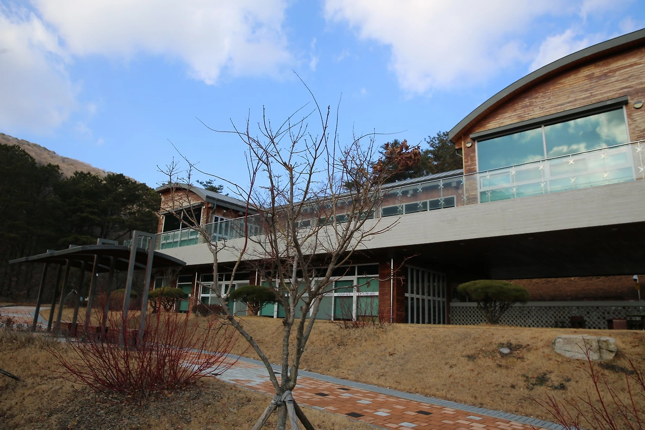 MG0A5550_новый размер.JPG