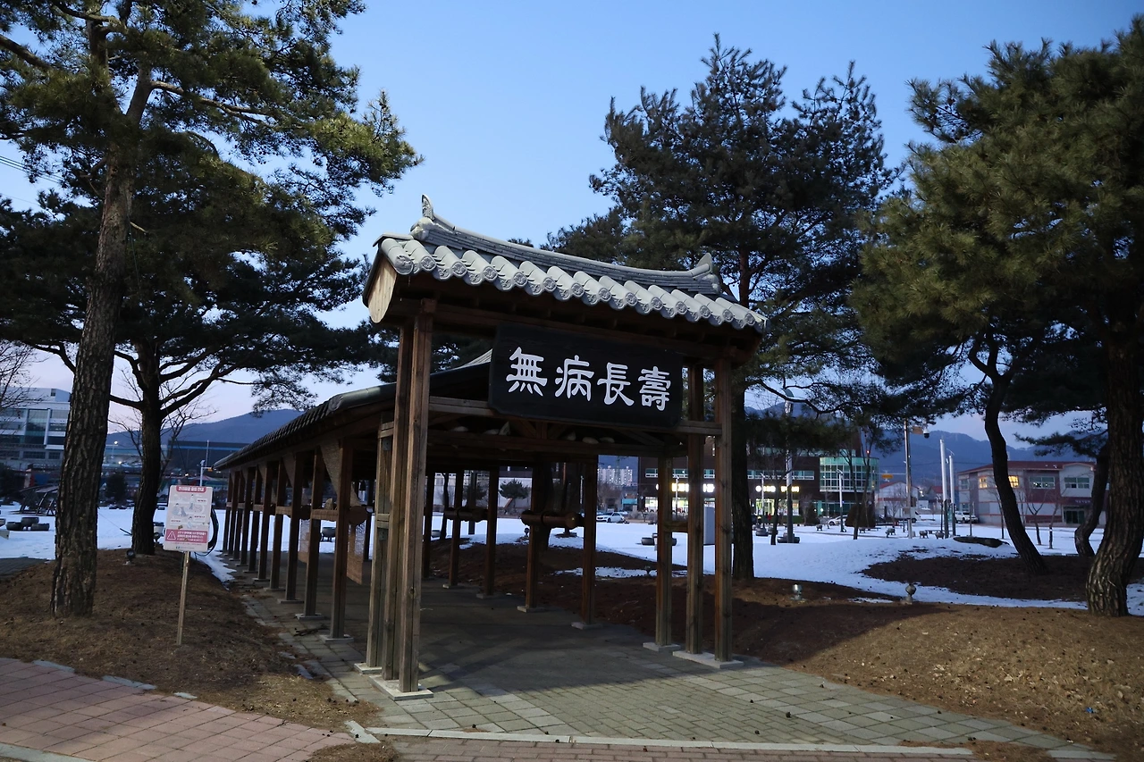 0R5A8266_новый размер.JPG