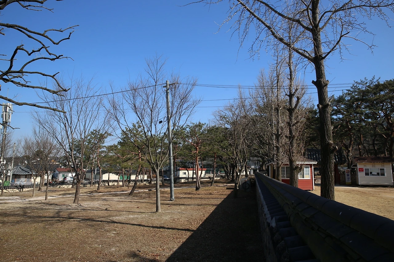 MG0A8064_новый размер.JPG