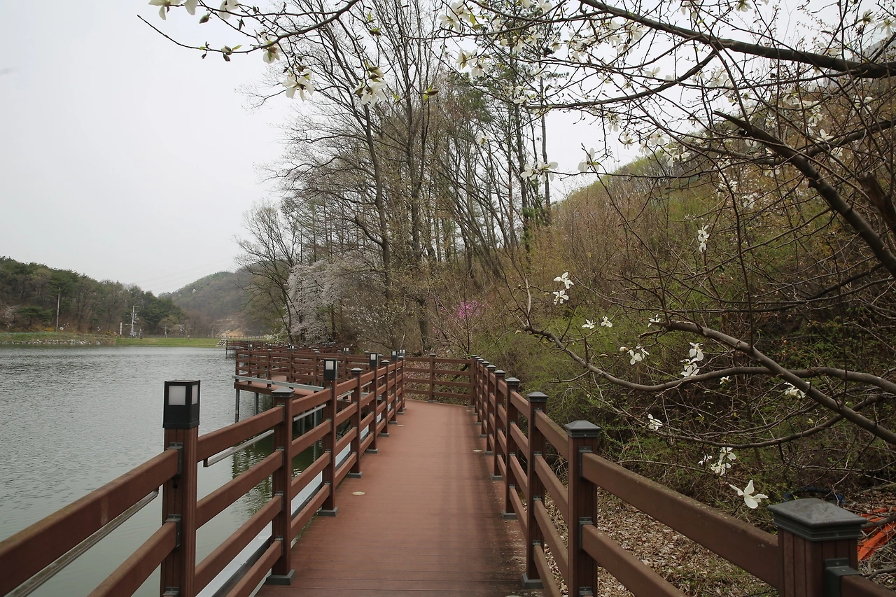 MG0A8602_новый размер.JPG