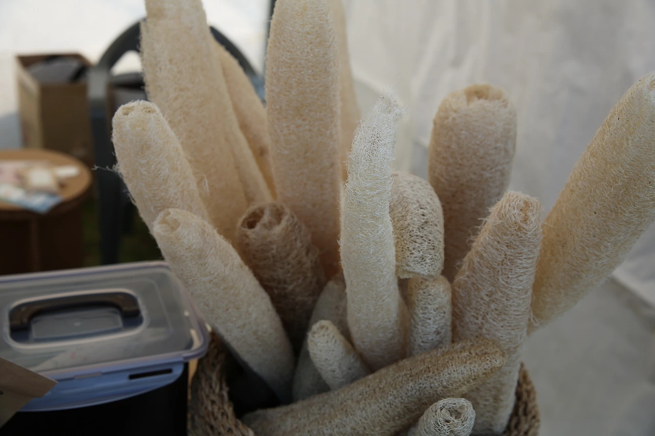 MG0A6539_новый размер.JPG