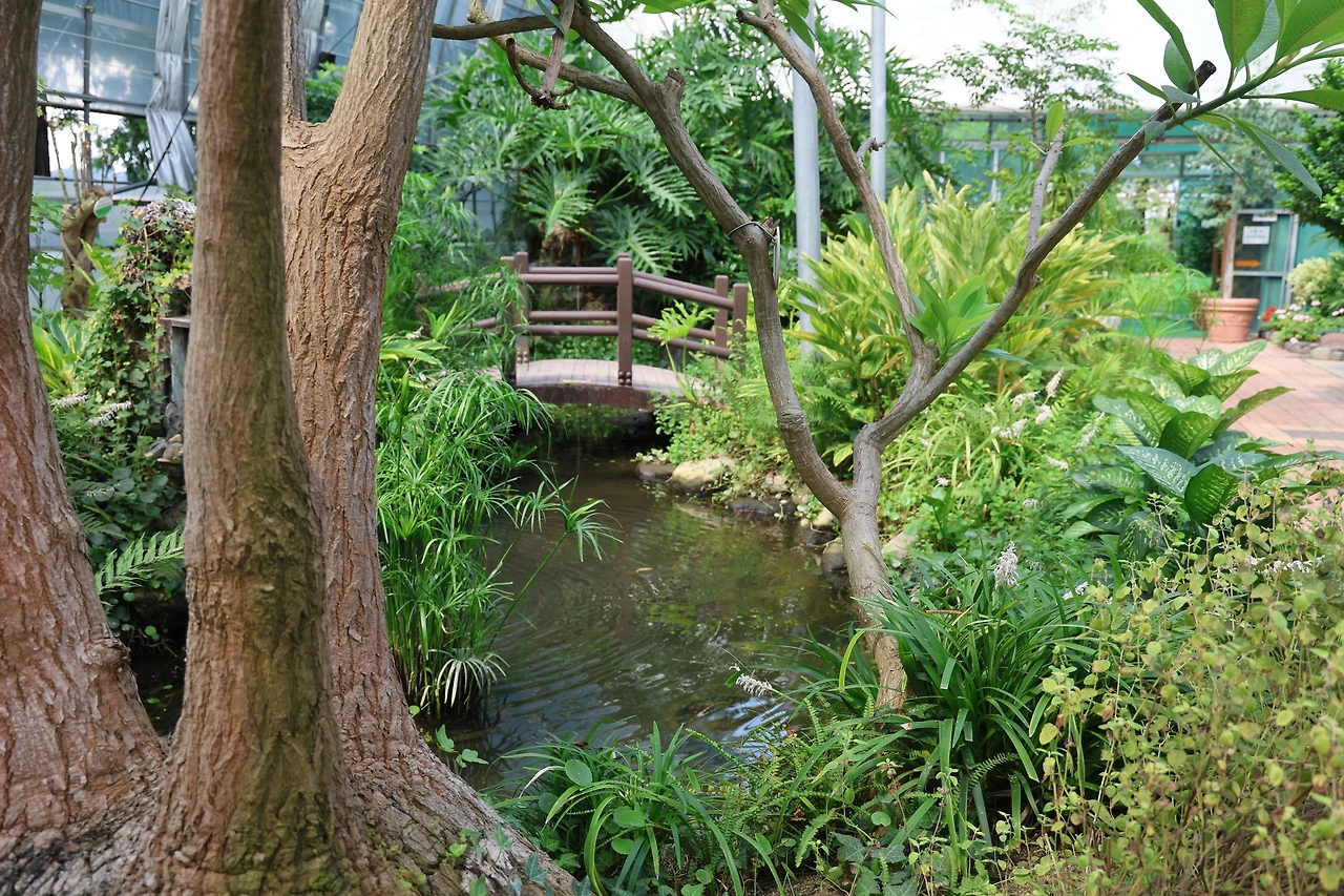 0R5A1823_новый размер.JPG