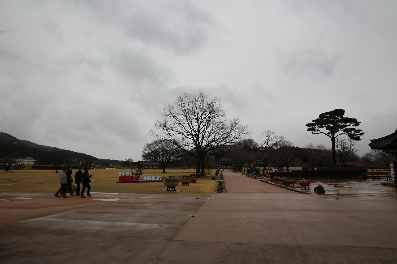 MG0A0601_новый размер.JPG