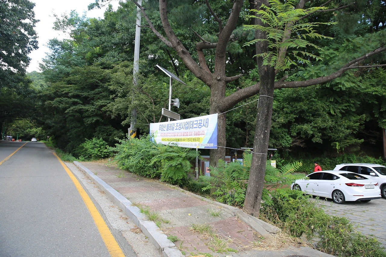 MG0A7855_новый размер.JPG