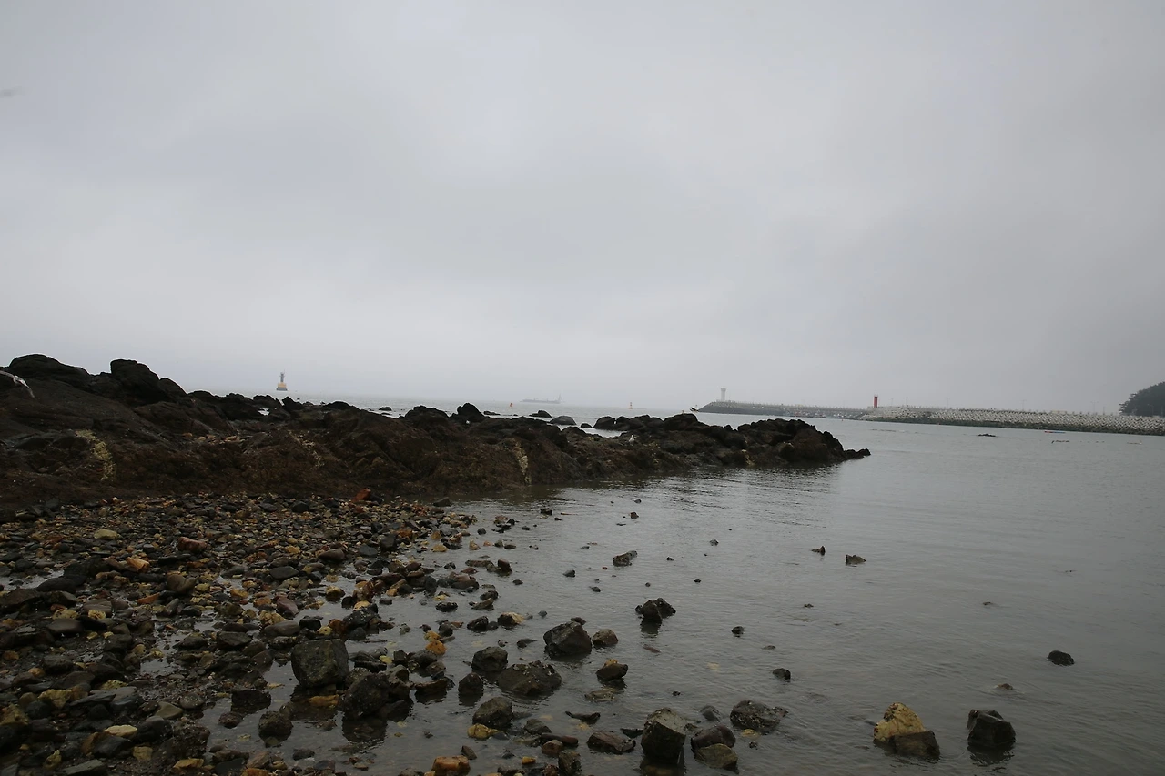 MG0A4972_новый размер.JPG