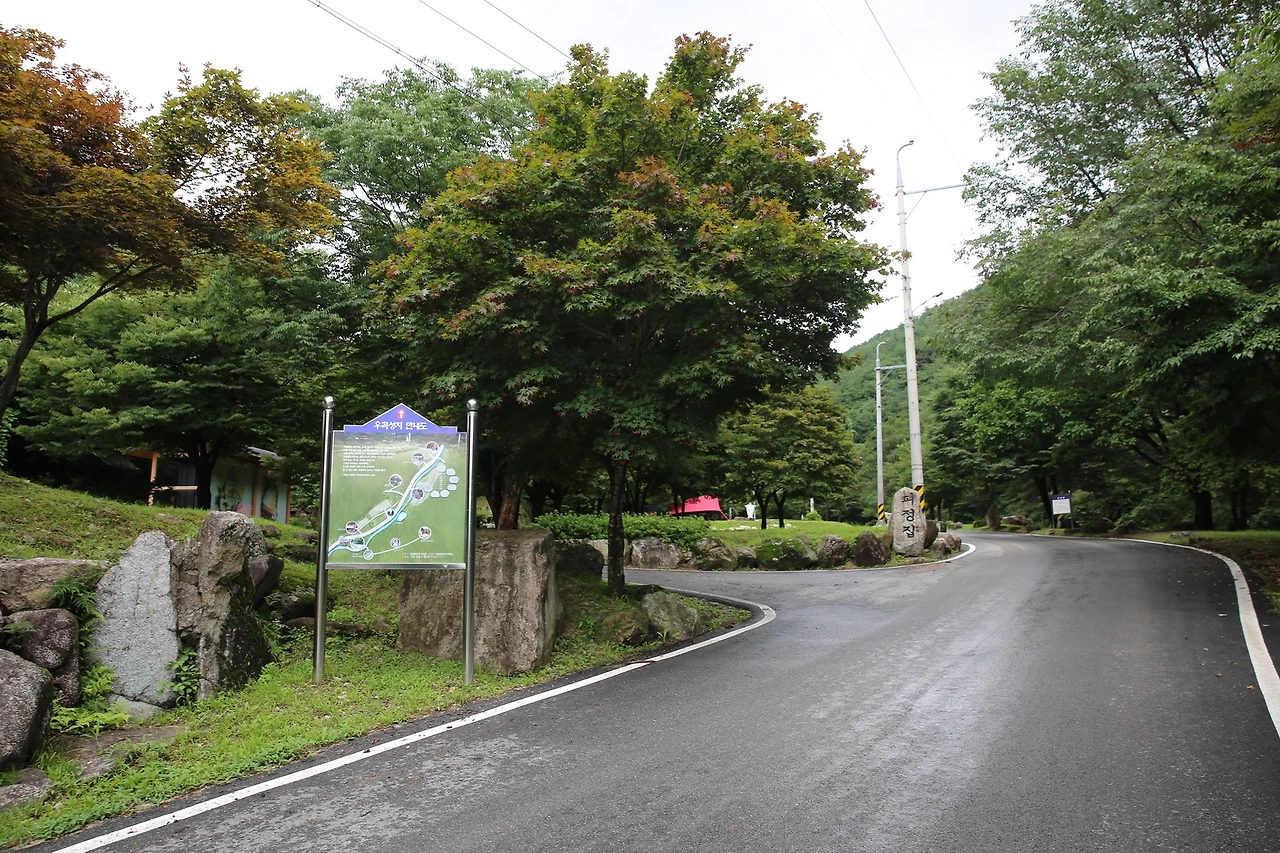 MG0A6568_новый размер.JPG