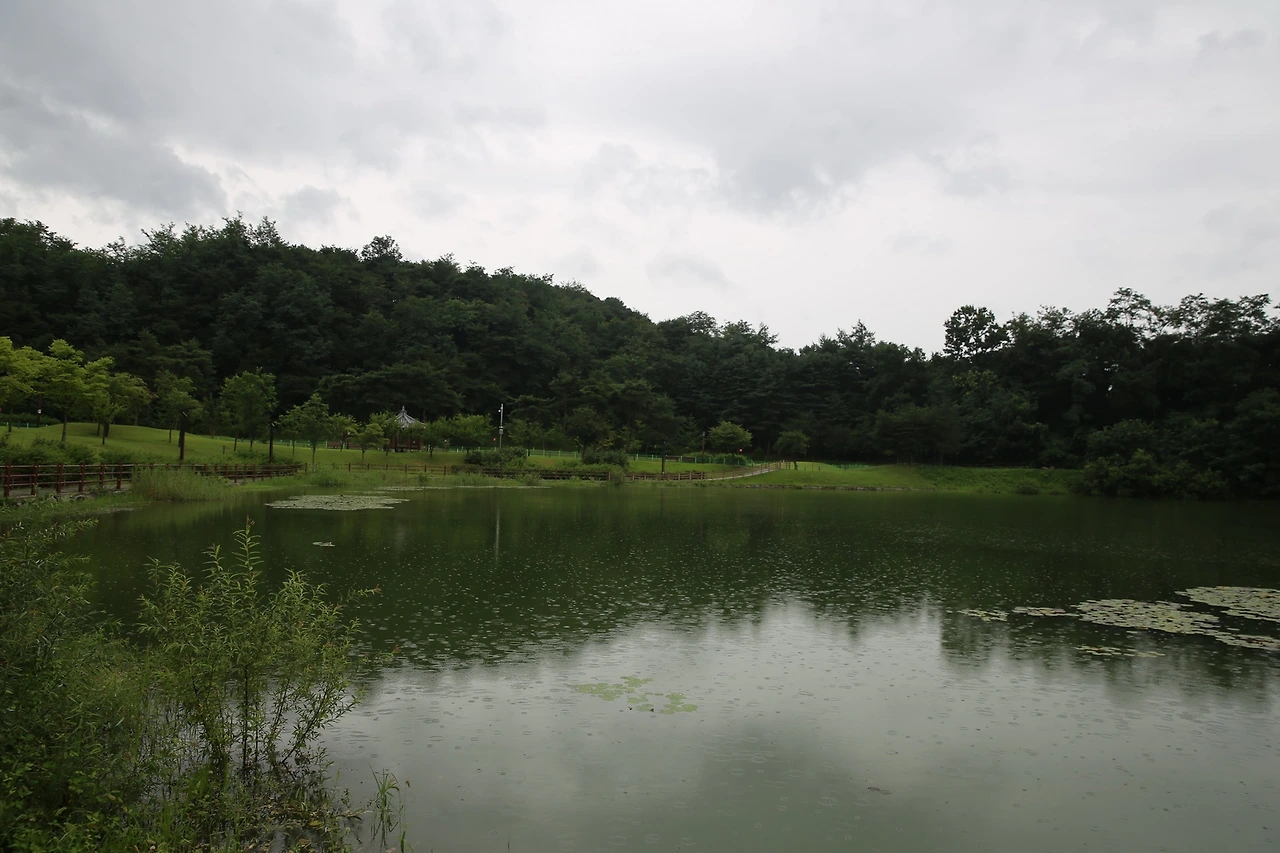 MG0A6185_новый размер.JPG