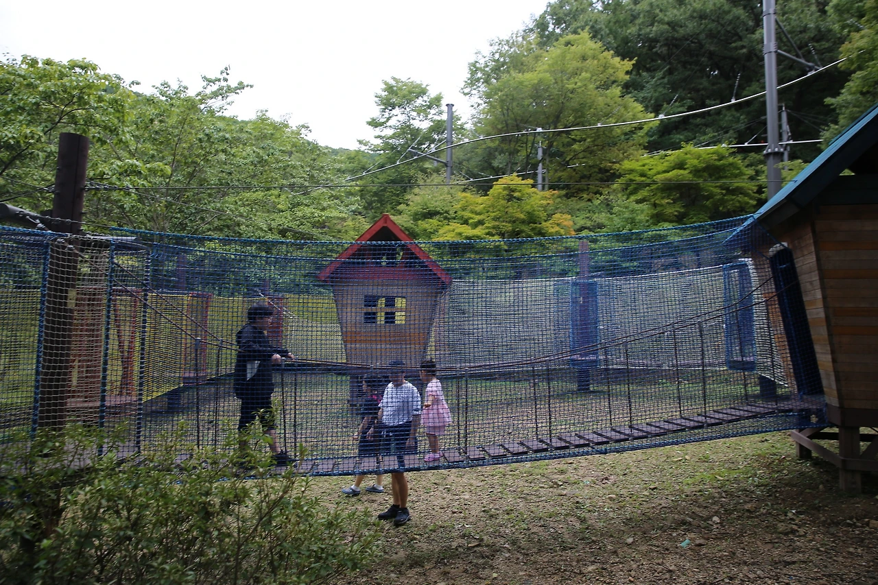 MG0A1021_новый размер.JPG