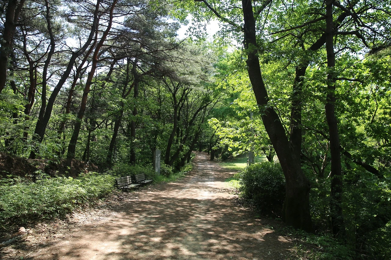 MG0A2579_новый размер.JPG