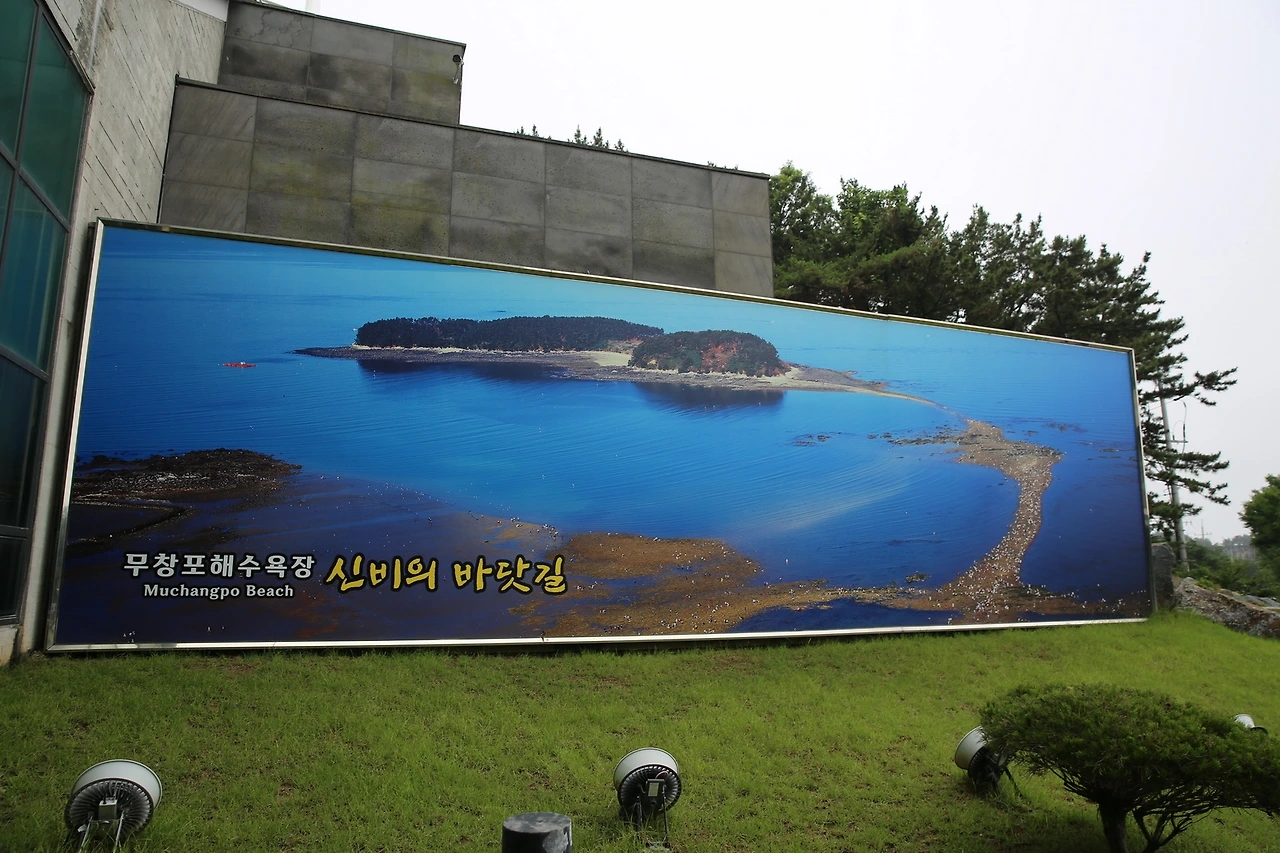 MG0A4960_новый размер.JPG