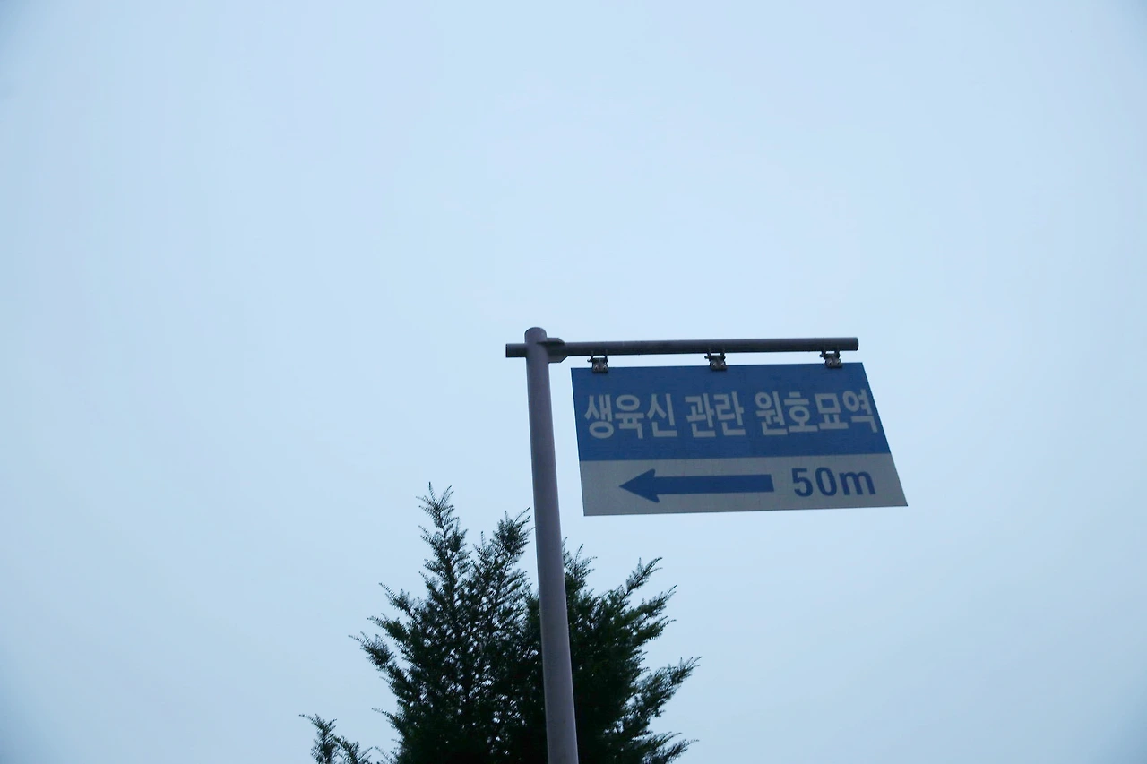 MG0A1207_новый размер_exposure.JPG