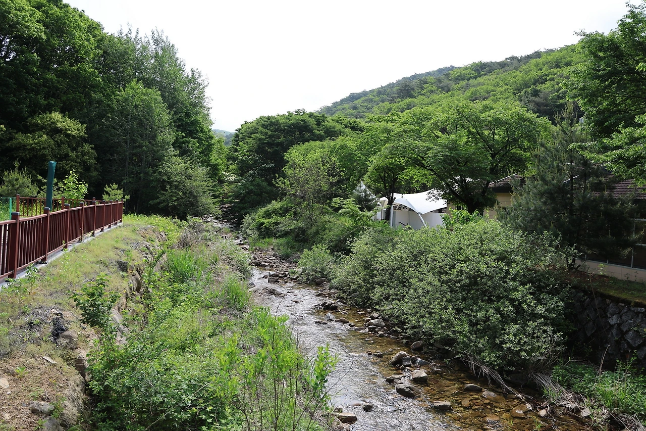 0R5A1328_новый размер.JPG