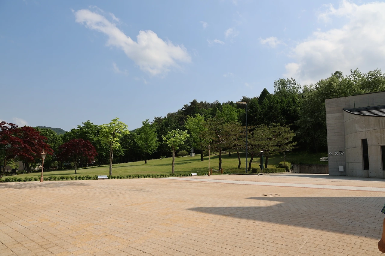 0R5A1491_новый размер.JPG