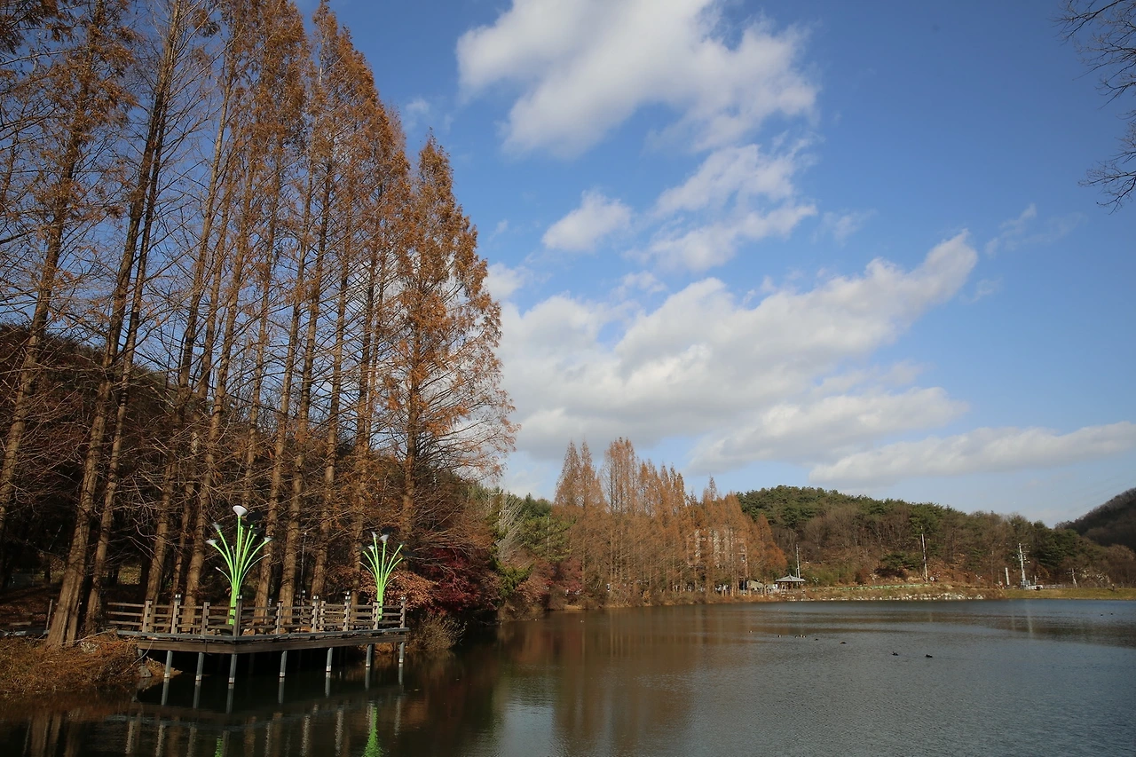 MG0A3678_новый размер.JPG